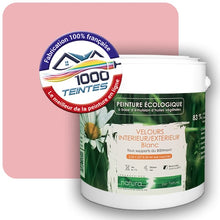 Charger l'image dans la galerie, Image générée par 1000-teintes.com - Le meilleur de la peintures en ligne !