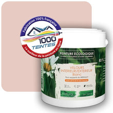 Charger l'image dans la galerie, Image générée par 1000-teintes.com - Le meilleur de la peintures en ligne !