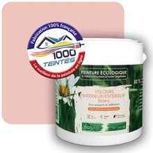 Charger l'image dans la galerie, Image générée par 1000-teintes.com - Le meilleur de la peintures en ligne !