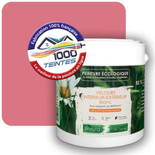 Charger l'image dans la galerie, Image générée par 1000-teintes.com - Le meilleur de la peintures en ligne !