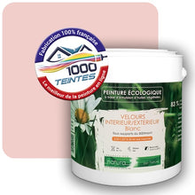 Charger l'image dans la galerie, Image générée par 1000-teintes.com - Le meilleur de la peintures en ligne !