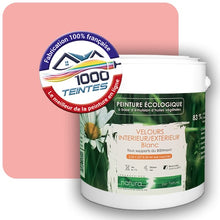 Charger l'image dans la galerie, Image générée par 1000-teintes.com - Le meilleur de la peintures en ligne !