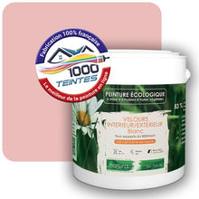 Charger l'image dans la galerie, Image générée par 1000-teintes.com - Le meilleur de la peintures en ligne !