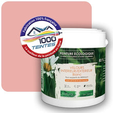 Charger l'image dans la galerie, Image générée par 1000-teintes.com - Le meilleur de la peintures en ligne !