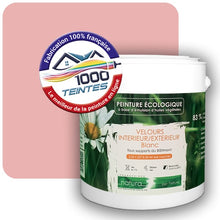 Charger l'image dans la galerie, Image générée par 1000-teintes.com - Le meilleur de la peintures en ligne !