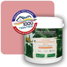 Charger l'image dans la galerie, Image générée par 1000-teintes.com - Le meilleur de la peintures en ligne !