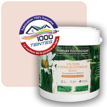 Charger l'image dans la galerie, Image générée par 1000-teintes.com - Le meilleur de la peintures en ligne !