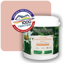 Charger l'image dans la galerie, Image générée par 1000-teintes.com - Le meilleur de la peintures en ligne !