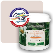 Charger l'image dans la galerie, Image générée par 1000-teintes.com - Le meilleur de la peintures en ligne !