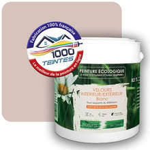 Charger l'image dans la galerie, Image générée par 1000-teintes.com - Le meilleur de la peintures en ligne !