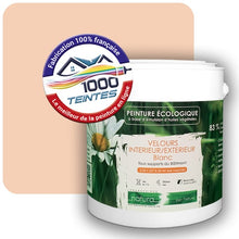 Charger l'image dans la galerie, Image générée par 1000-teintes.com - Le meilleur de la peintures en ligne !