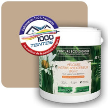 Charger l'image dans la galerie, Image générée par 1000-teintes.com - Le meilleur de la peintures en ligne !