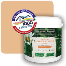 Charger l'image dans la galerie, Image générée par 1000-teintes.com - Le meilleur de la peintures en ligne !