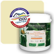 Charger l'image dans la galerie, Image générée par 1000-teintes.com - Le meilleur de la peintures en ligne !