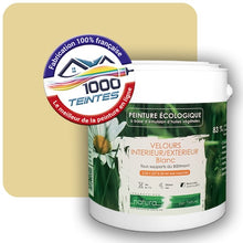 Charger l'image dans la galerie, Image générée par 1000-teintes.com - Le meilleur de la peintures en ligne !