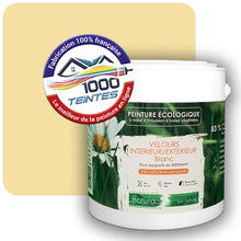 Charger l'image dans la galerie, Image générée par 1000-teintes.com - Le meilleur de la peintures en ligne !