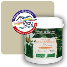 Charger l'image dans la galerie, Image générée par 1000-teintes.com - Le meilleur de la peintures en ligne !