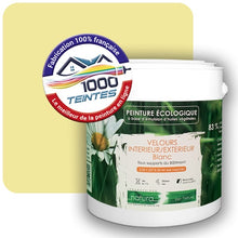 Charger l'image dans la galerie, Image générée par 1000-teintes.com - Le meilleur de la peintures en ligne !