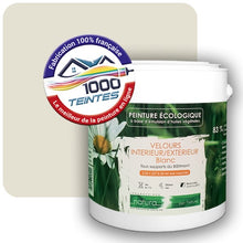 Charger l'image dans la galerie, Image générée par 1000-teintes.com - Le meilleur de la peintures en ligne !