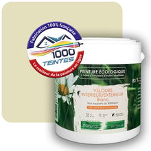 Charger l'image dans la galerie, Image générée par 1000-teintes.com - Le meilleur de la peintures en ligne !