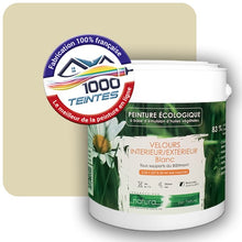 Charger l'image dans la galerie, Image générée par 1000-teintes.com - Le meilleur de la peintures en ligne !