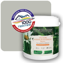 Charger l'image dans la galerie, Image générée par 1000-teintes.com - Le meilleur de la peintures en ligne !