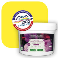 Charger l'image dans la galerie, Peinture écologique Natura Tassili® Jaune (Pigment Pur 9305) Intérieur/Extérieur VELOURS