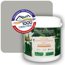 Charger l'image dans la galerie, Image générée par 1000-teintes.com - Le meilleur de la peintures en ligne !