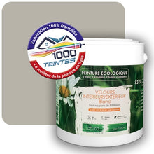 Charger l'image dans la galerie, Image générée par 1000-teintes.com - Le meilleur de la peintures en ligne !