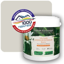 Charger l'image dans la galerie, Image générée par 1000-teintes.com - Le meilleur de la peintures en ligne !