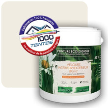 Charger l'image dans la galerie, Image générée par 1000-teintes.com - Le meilleur de la peintures en ligne !