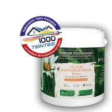 Charger l'image dans la galerie, Image générée par 1000-teintes.com - Le meilleur de la peintures en ligne !