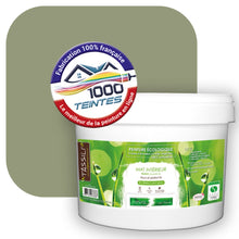 Charger l'image dans la galerie, Peinture écologique Natura Tassili® Les Verts (L'Atelier by Edicolor 196E/196-E/196E1) Intérieur MAT