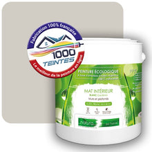 Charger l'image dans la galerie, Peinture écologique Natura Tassili® Les Jaunes (Mille Teintes E6-57) Intérieur MAT