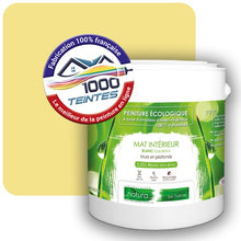 Charger l'image dans la galerie, Peinture écologique Natura Tassili® Les Jaunes (Mille Teintes E8-23) Intérieur MAT