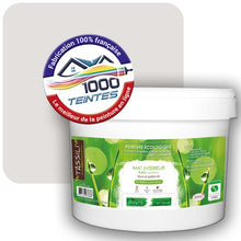 Charger l'image dans la galerie, Peinture écologique Natura Tassili® Les minérales Mica (Natura Ethnic NE-037) Intérieur MAT