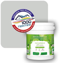 Charger l'image dans la galerie, Peinture écologique Natura Tassili® Les végétales Araucaria (Natura Ethnic NE-058) Intérieur MAT