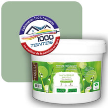 Charger l'image dans la galerie, Peinture écologique Natura Tassili® Les végétales Menthe Blanche (Natura Ethnic NE-062) Intérieur MAT