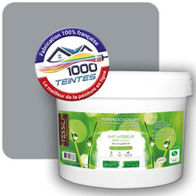 Charger l'image dans la galerie, Peinture écologique Natura Tassili® Gris Fenêtre (RAL Classic 7040) Intérieur MAT