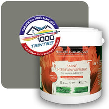Charger l'image dans la galerie, Image générée par 1000-teintes.com - Le meilleur de la peintures en ligne !