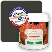 Charger l'image dans la galerie, Image générée par 1000-teintes.com - Le meilleur de la peintures en ligne !