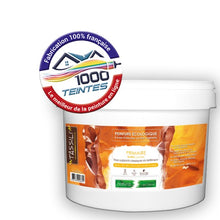 Charger l'image dans la galerie, Image générée par 1000-teintes.com - Le meilleur de la peintures en ligne !