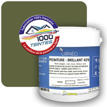 Charger l&#39;image dans la galerie, Image générée par 1000-teintes.com - Le meilleur de la peintures en ligne !
