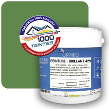 Charger l&#39;image dans la galerie, Image générée par 1000-teintes.com - Le meilleur de la peintures en ligne !
