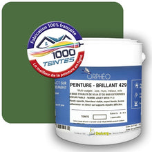 Charger l&#39;image dans la galerie, Image générée par 1000-teintes.com - Le meilleur de la peintures en ligne !
