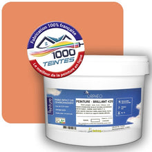 Charger l&#39;image dans la galerie, Image générée par 1000-teintes.com - Le meilleur de la peintures en ligne !
