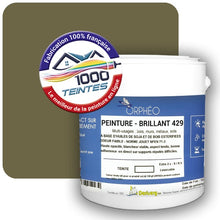 Charger l&#39;image dans la galerie, Image générée par 1000-teintes.com - Le meilleur de la peintures en ligne !
