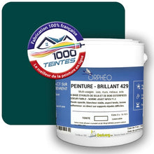 Charger l&#39;image dans la galerie, Image générée par 1000-teintes.com - Le meilleur de la peintures en ligne !
