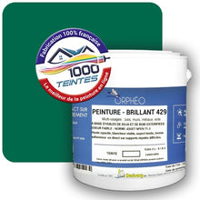 Charger l&#39;image dans la galerie, Image générée par 1000-teintes.com - Le meilleur de la peintures en ligne !
