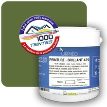 Charger l&#39;image dans la galerie, Image générée par 1000-teintes.com - Le meilleur de la peintures en ligne !
